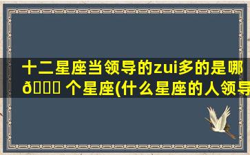 十二星座当领导的zui
多的是哪 🐞 个星座(什么星座的人领导比较多)
